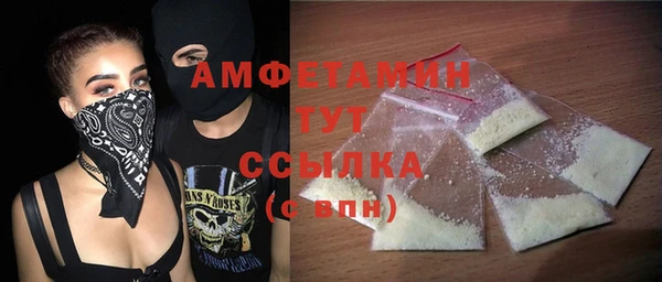 мдпв Верея