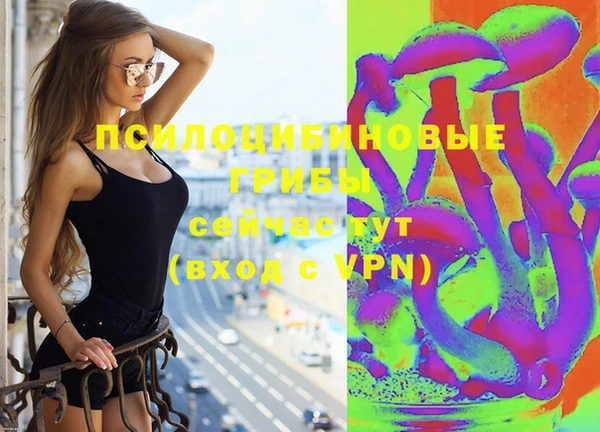 мдпв Верея