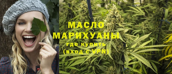 мдпв Верея