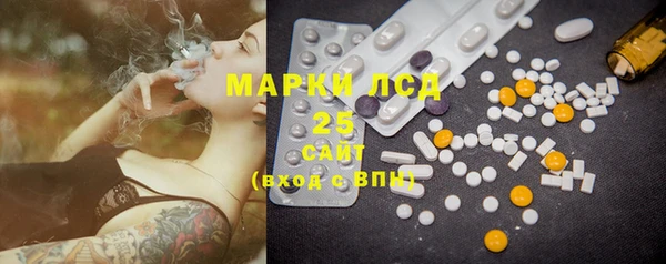 мдпв Верея