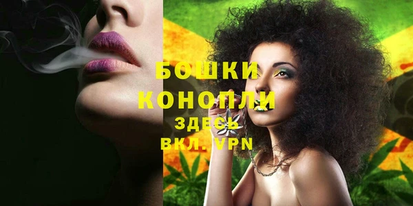 стаф Верхний Тагил