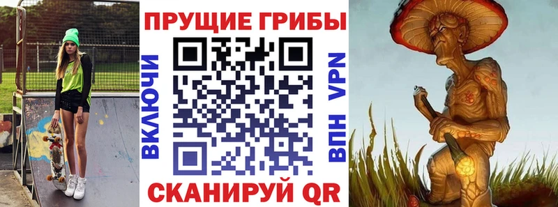 hydra tor  Кировск  Галлюциногенные грибы мицелий 